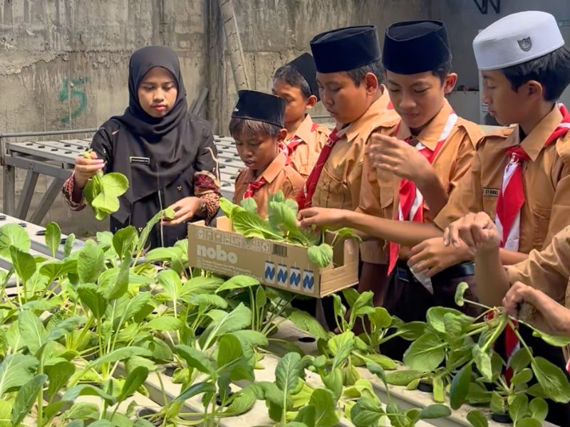 Galeri Bawah Kiri